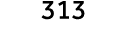 313