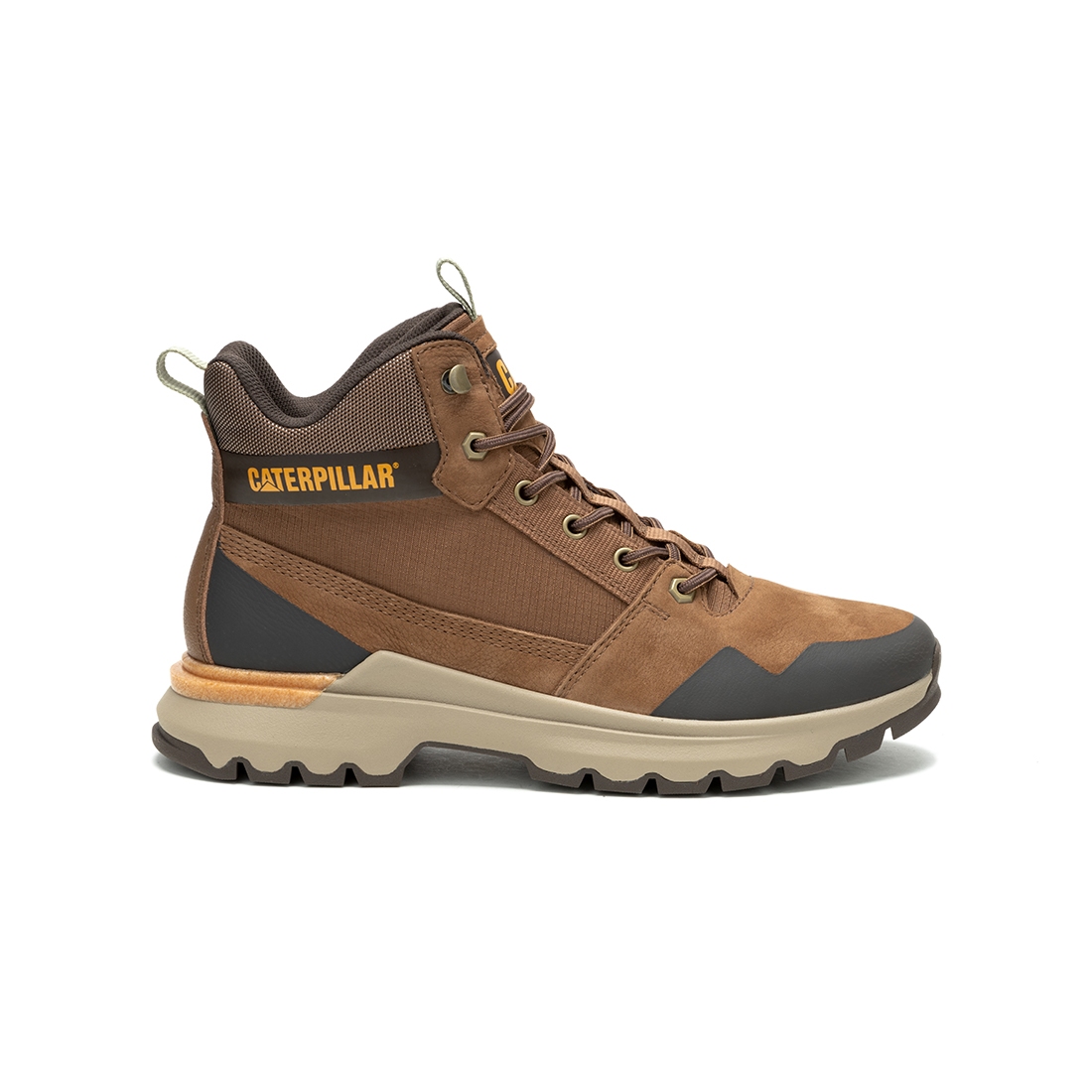 Cat-Colorado Sneaker Shoes Dachshun For Men