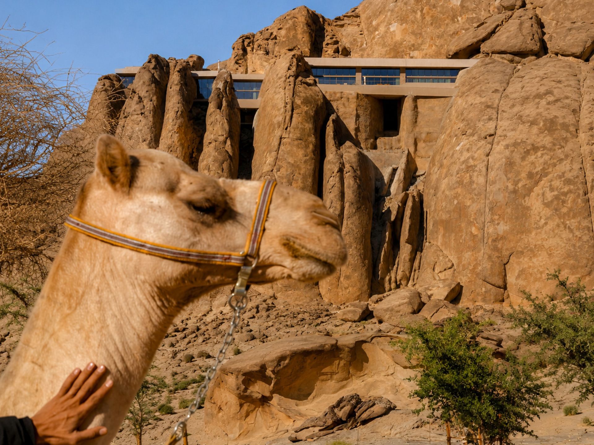desert-rock