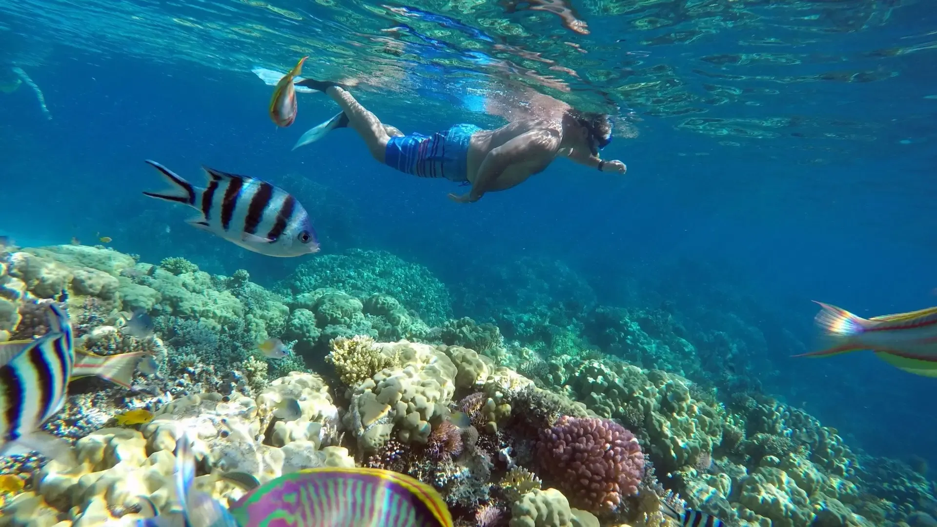 Family Water Adventures Await!