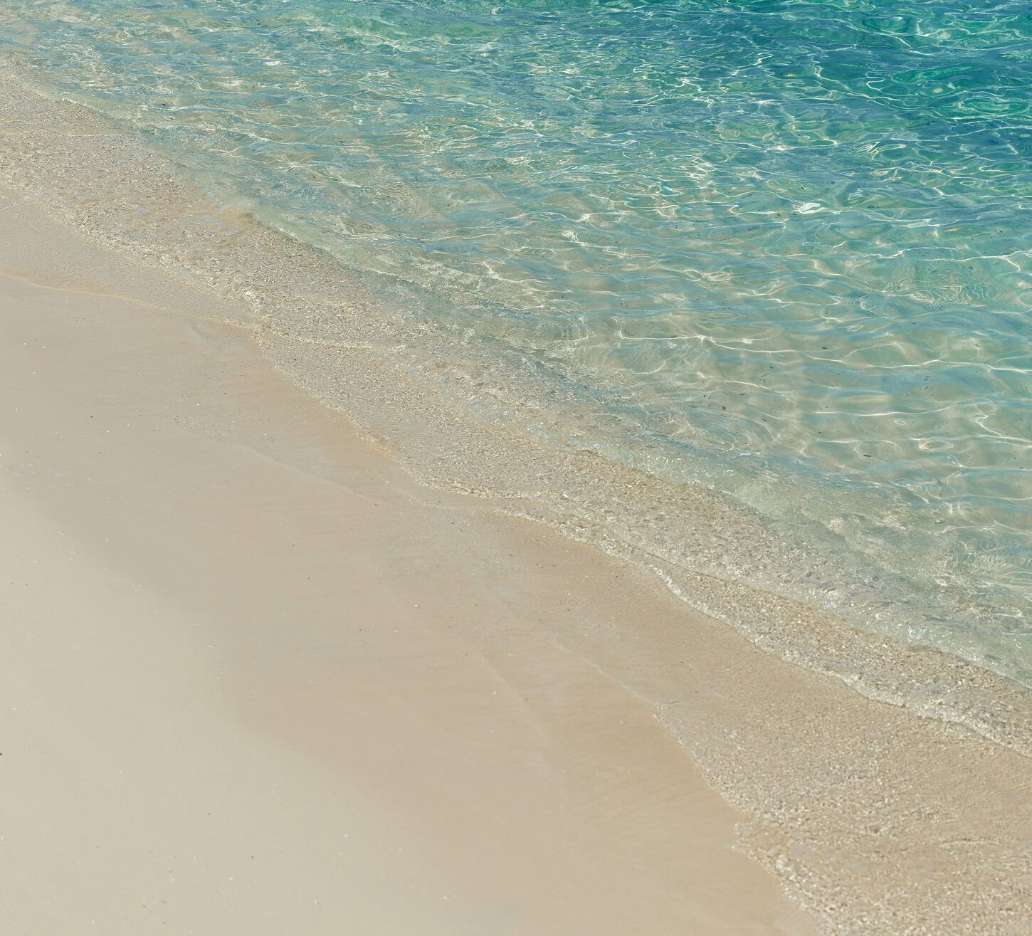Background for Featured Experience