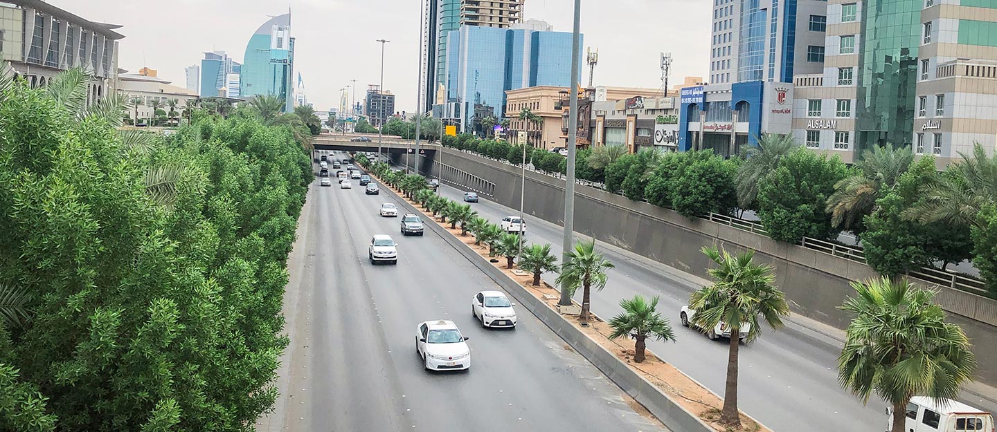 حي الربوة الرياض: دليل كامل عن الموقع، الخدمات وأسعار العقارات | مدى العقارية