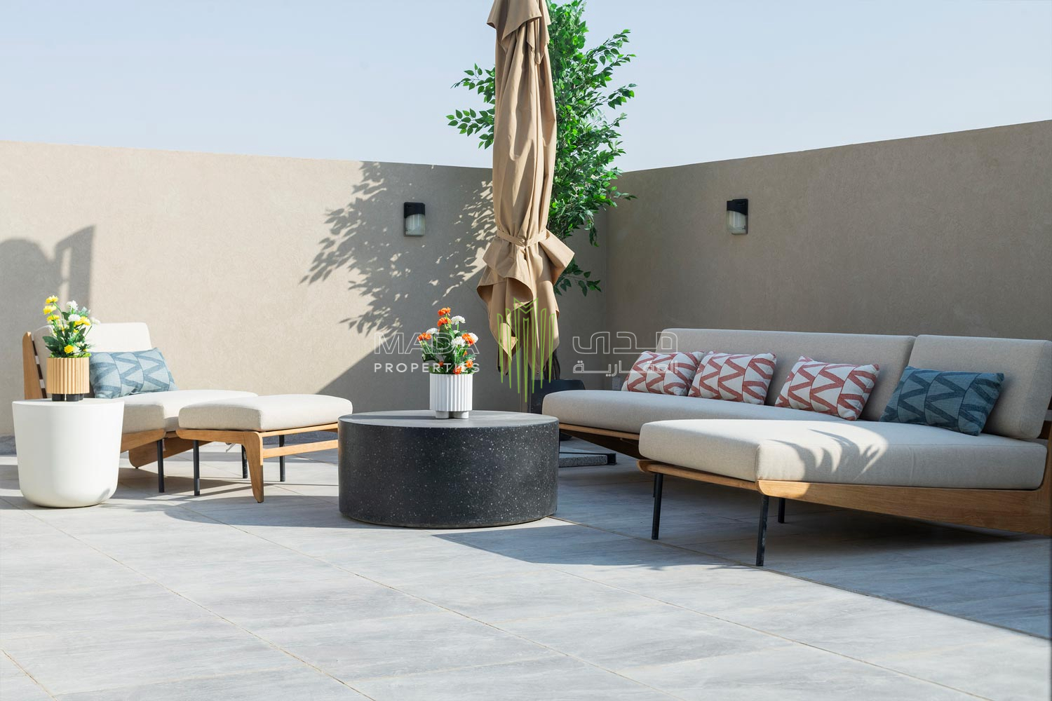 الخيول العربية 58