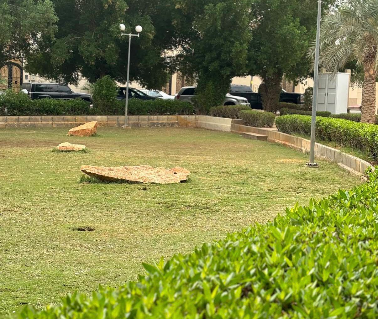 حديقة القادسية