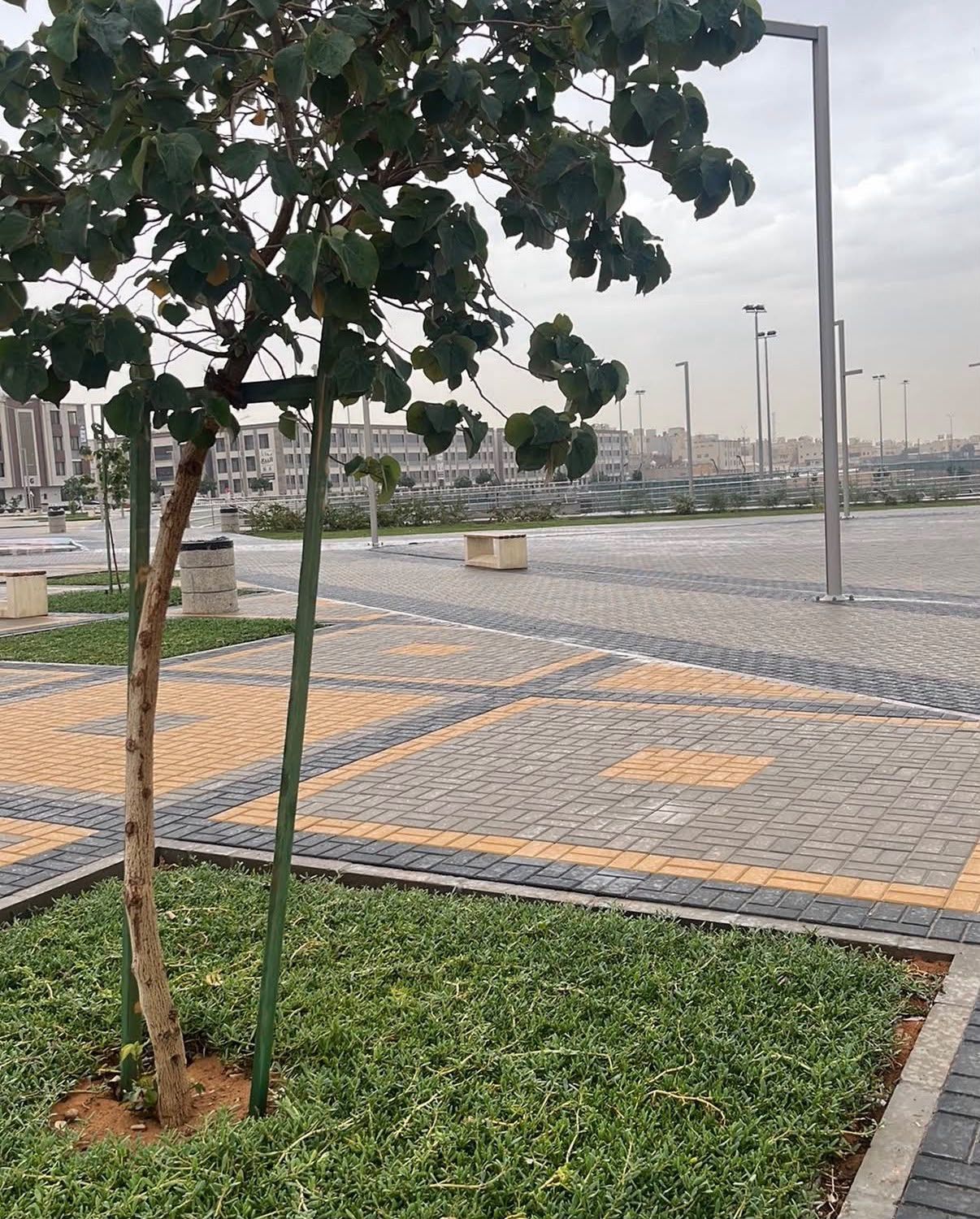 حديقة المجاز