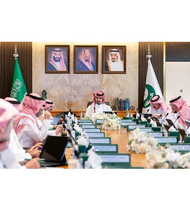اللجنة التوجيهية
