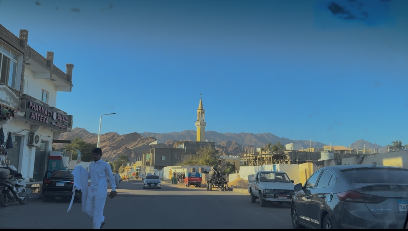 دهب view 7